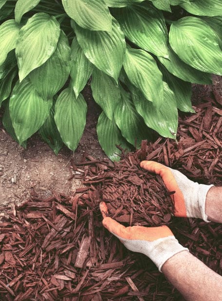 compost-img